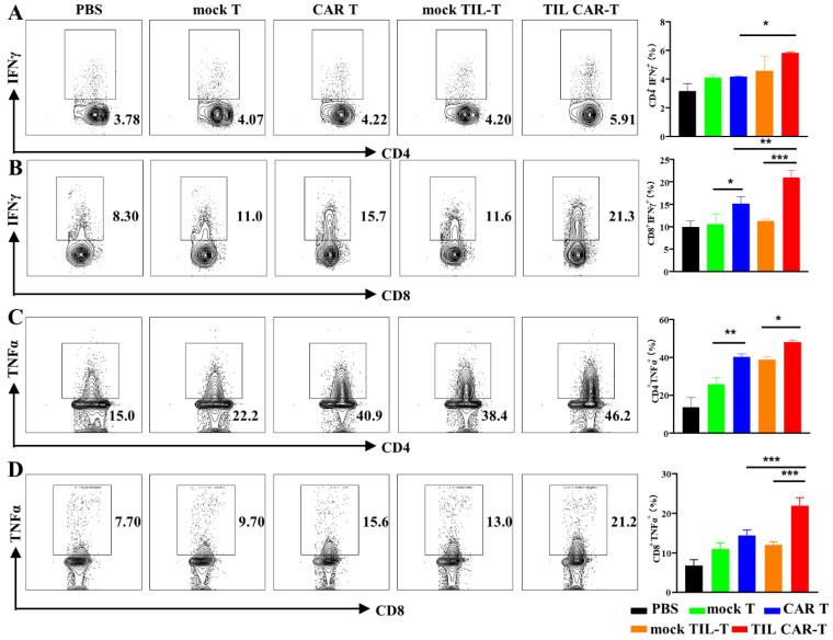 https://cdn.ncbi.nlm.nih.gov/pmc/blobs/a142/10705672/ad33e3eaa4e3/cancers-15-05567-g005.jpg