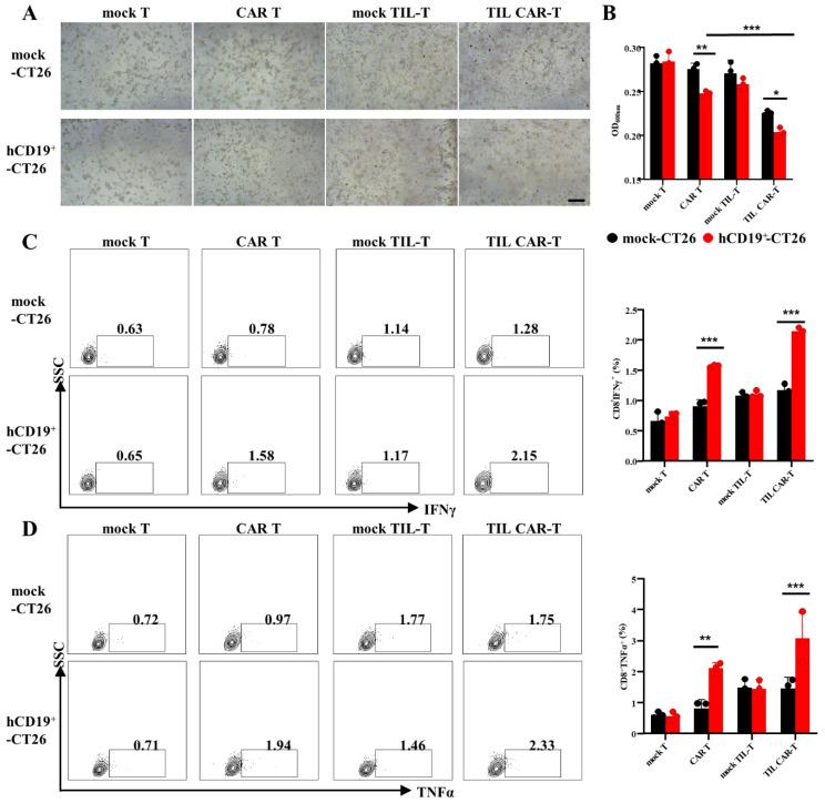 https://cdn.ncbi.nlm.nih.gov/pmc/blobs/a142/10705672/b5da7a23417b/cancers-15-05567-g002.jpg