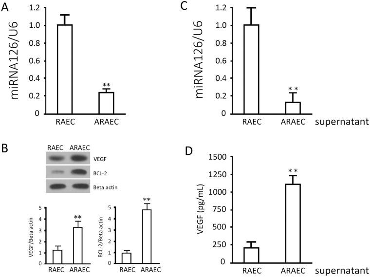 https://cdn.ncbi.nlm.nih.gov/pmc/blobs/a142/4427270/279057f287d4/pone.0126661.g002.jpg