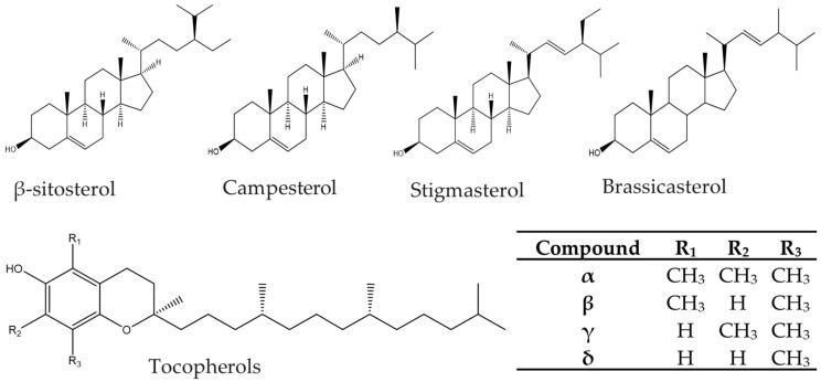 https://cdn.ncbi.nlm.nih.gov/pmc/blobs/a142/7961602/142155a6b2e5/molecules-26-01402-g001.jpg