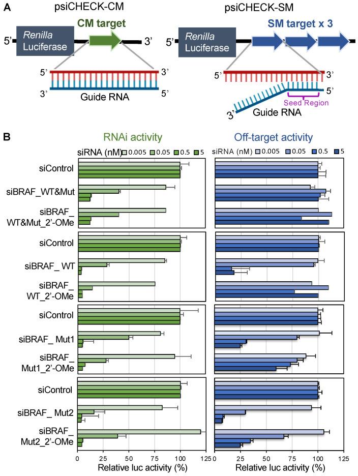 https://cdn.ncbi.nlm.nih.gov/pmc/blobs/a143/9264874/2d95dded1736/cancers-14-03162-g003.jpg