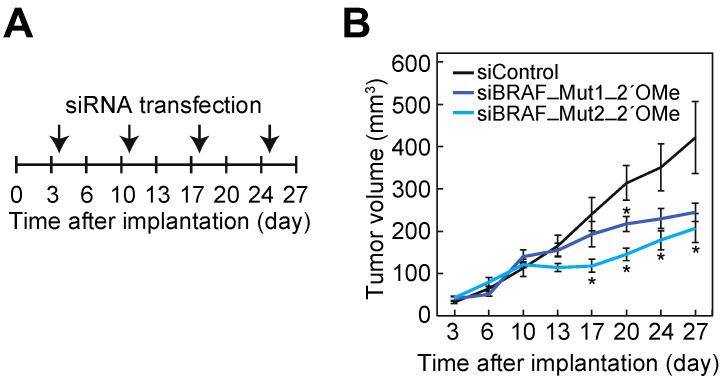 https://cdn.ncbi.nlm.nih.gov/pmc/blobs/a143/9264874/3c8a635ac17f/cancers-14-03162-g005.jpg