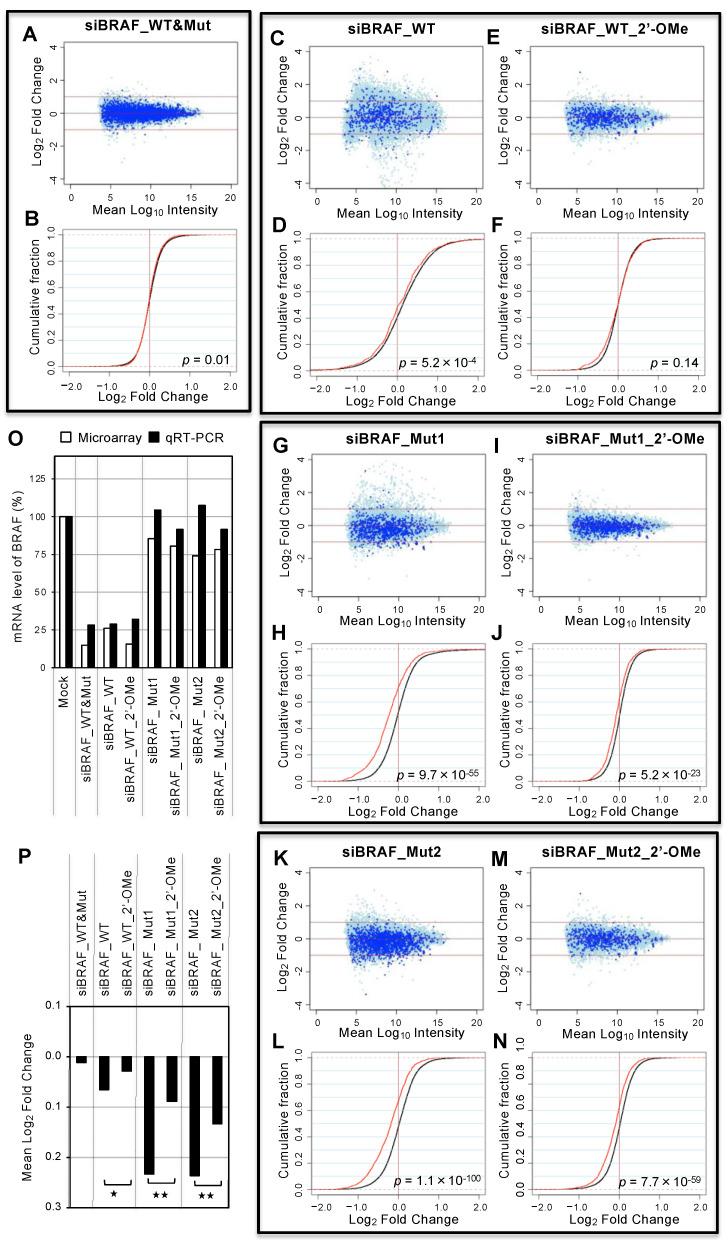 https://cdn.ncbi.nlm.nih.gov/pmc/blobs/a143/9264874/ce477df14393/cancers-14-03162-g004.jpg