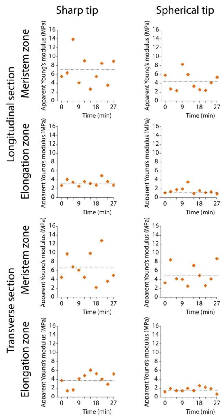 https://cdn.ncbi.nlm.nih.gov/pmc/blobs/a148/6630919/a9aee4348aee/plants-08-00172-g005.jpg