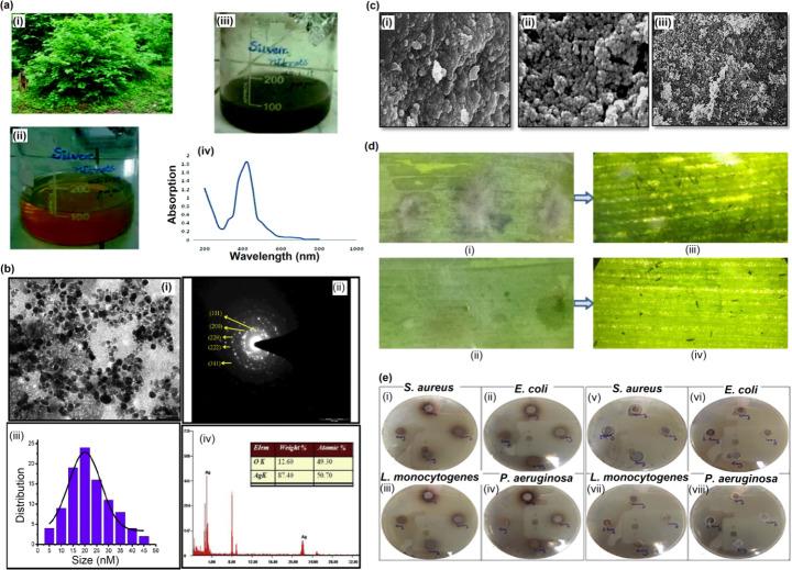 https://cdn.ncbi.nlm.nih.gov/pmc/blobs/a14a/11166857/10d306ae1906/12010_2023_4719_Fig2_HTML.jpg