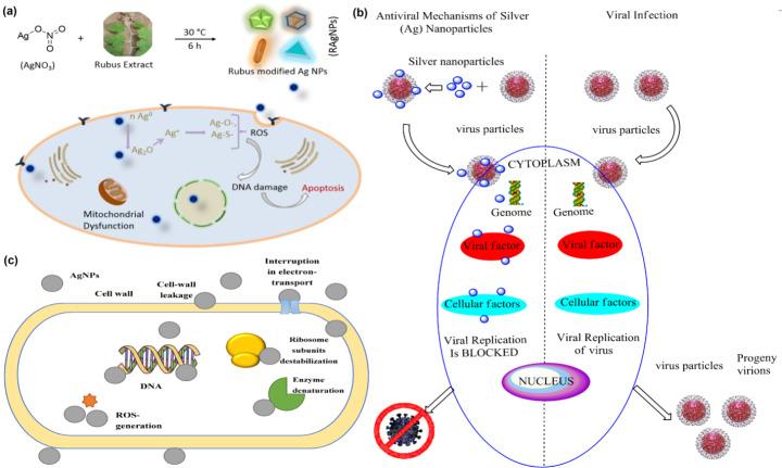 https://cdn.ncbi.nlm.nih.gov/pmc/blobs/a14a/11166857/245898a73b15/12010_2023_4719_Fig7_HTML.jpg