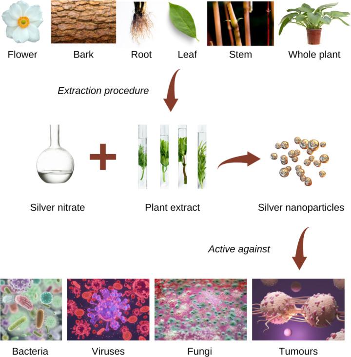 https://cdn.ncbi.nlm.nih.gov/pmc/blobs/a14a/11166857/d913b0fbbf33/12010_2023_4719_Fig1_HTML.jpg