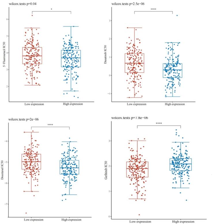 https://cdn.ncbi.nlm.nih.gov/pmc/blobs/a14a/12182554/7e7442309e9a/13205_2025_4361_Fig11_HTML.jpg