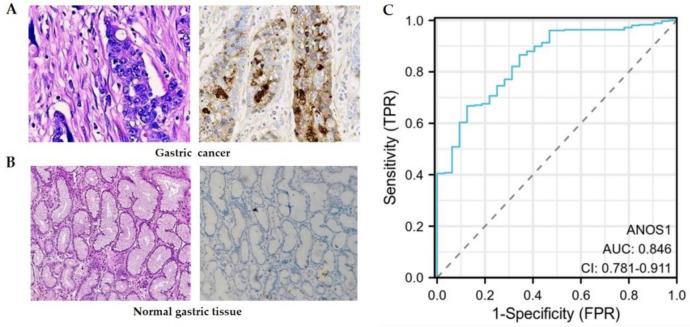 https://cdn.ncbi.nlm.nih.gov/pmc/blobs/a14a/12182554/abf216a83241/13205_2025_4361_Fig2_HTML.jpg