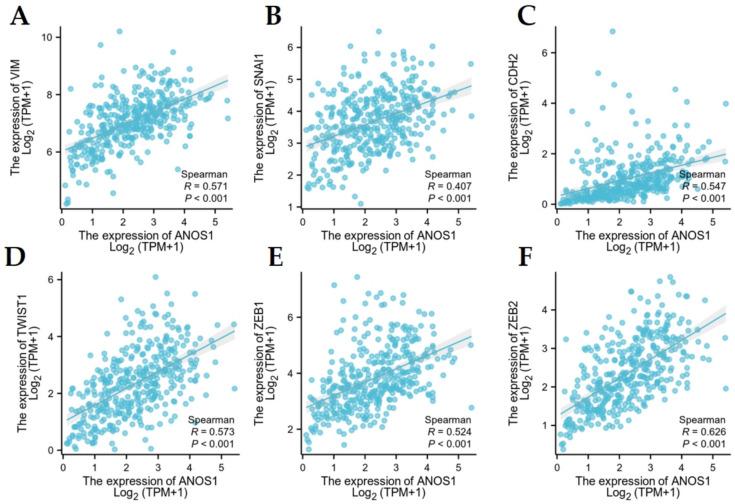 https://cdn.ncbi.nlm.nih.gov/pmc/blobs/a14a/12182554/ae22476fa559/13205_2025_4361_Fig9_HTML.jpg