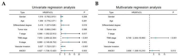 https://cdn.ncbi.nlm.nih.gov/pmc/blobs/a14a/12182554/b72b7421b4be/13205_2025_4361_Fig7_HTML.jpg