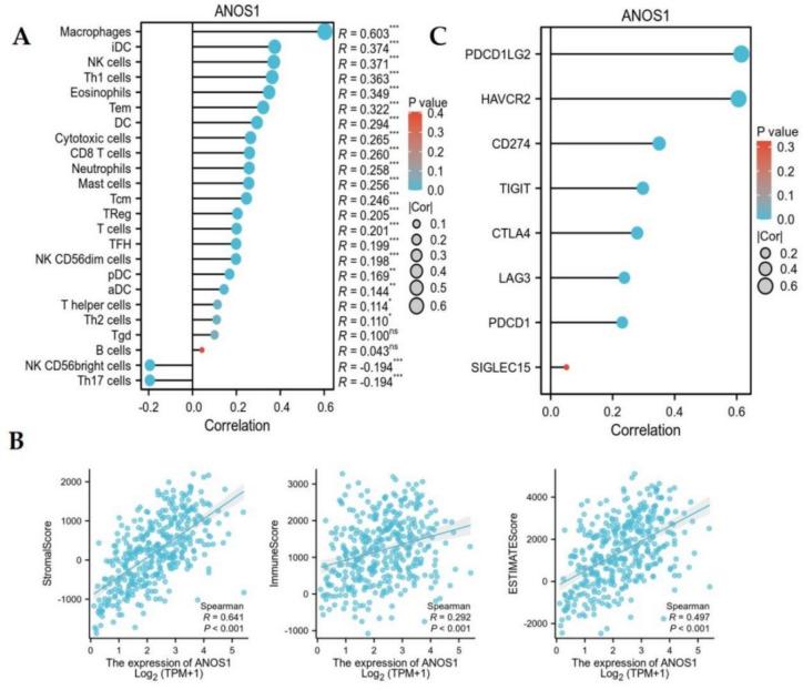 https://cdn.ncbi.nlm.nih.gov/pmc/blobs/a14a/12182554/f3e6249d9244/13205_2025_4361_Fig10_HTML.jpg