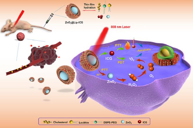 https://cdn.ncbi.nlm.nih.gov/pmc/blobs/a14e/9091608/164966cdfc78/ga1.jpg