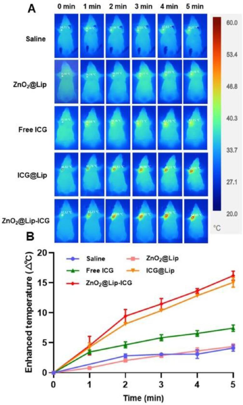 https://cdn.ncbi.nlm.nih.gov/pmc/blobs/a14e/9091608/1ee2ecd610ac/gr7.jpg