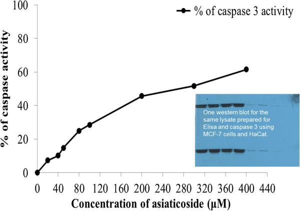 https://cdn.ncbi.nlm.nih.gov/pmc/blobs/a150/3986932/215683a9ed1a/1471-2407-14-220-5.jpg