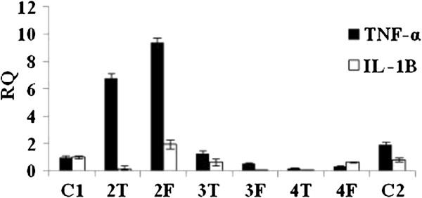 https://cdn.ncbi.nlm.nih.gov/pmc/blobs/a150/3986932/6490967373ce/1471-2407-14-220-7.jpg
