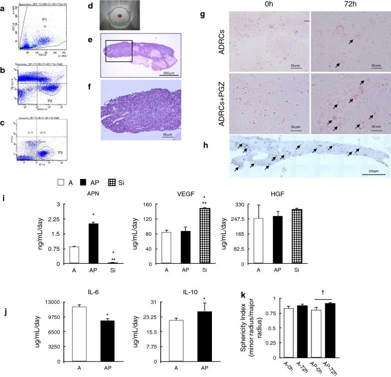 https://cdn.ncbi.nlm.nih.gov/pmc/blobs/a150/6431071/4d4ed34cbc40/12933_2019_829_Fig3_HTML.jpg