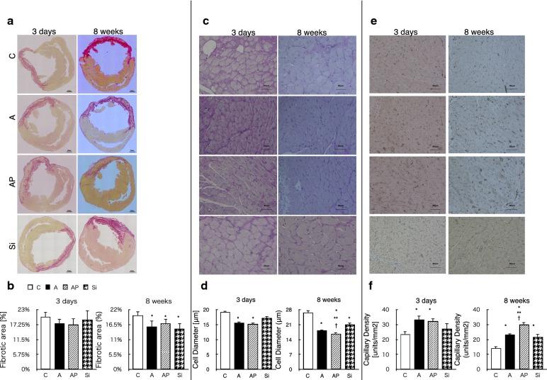 https://cdn.ncbi.nlm.nih.gov/pmc/blobs/a150/6431071/b5443d92a627/12933_2019_829_Fig6_HTML.jpg