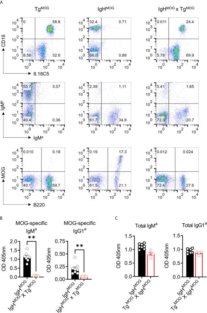 https://cdn.ncbi.nlm.nih.gov/pmc/blobs/a153/8206569/58bb185a3cef/fimmu-12-668487-g003.jpg