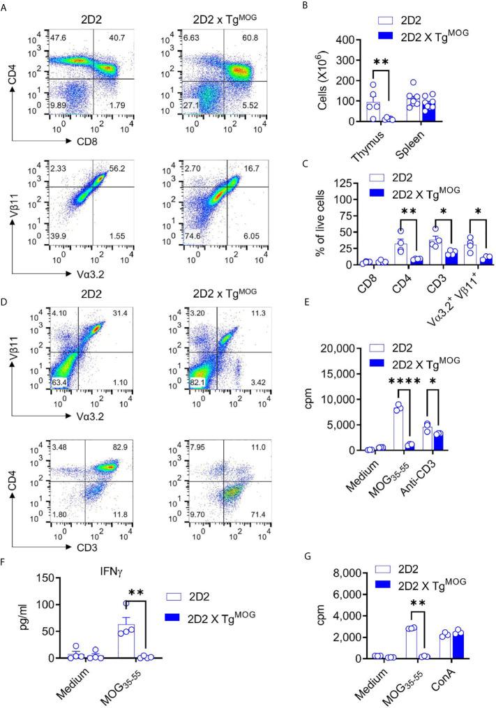 https://cdn.ncbi.nlm.nih.gov/pmc/blobs/a153/8206569/c53b71c84c6e/fimmu-12-668487-g005.jpg