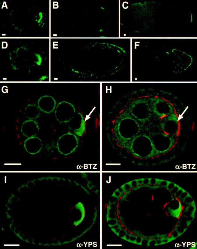 https://cdn.ncbi.nlm.nih.gov/pmc/blobs/a156/2173729/cbfb3c87f837/200309088f2.jpg