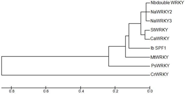 https://cdn.ncbi.nlm.nih.gov/pmc/blobs/a156/3559656/c4b356696989/pone.0052784.g005.jpg