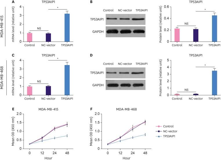 https://cdn.ncbi.nlm.nih.gov/pmc/blobs/a158/6597403/990b6fafa1c1/jbc-22-172-g002.jpg