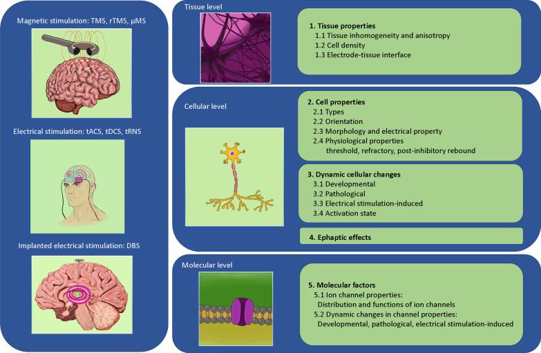 https://cdn.ncbi.nlm.nih.gov/pmc/blobs/a159/9632094/2d5d8049ee5a/12984_2022_1094_Fig1_HTML.jpg