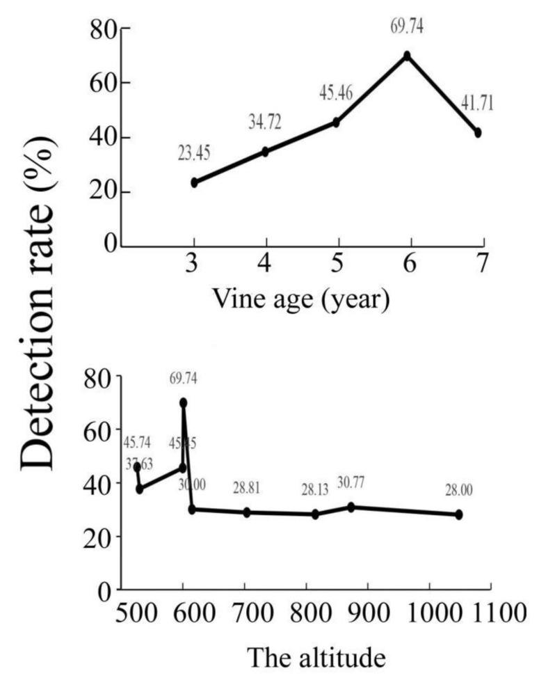https://cdn.ncbi.nlm.nih.gov/pmc/blobs/a159/9696399/dbaadcef5b00/viruses-14-02460-g002.jpg