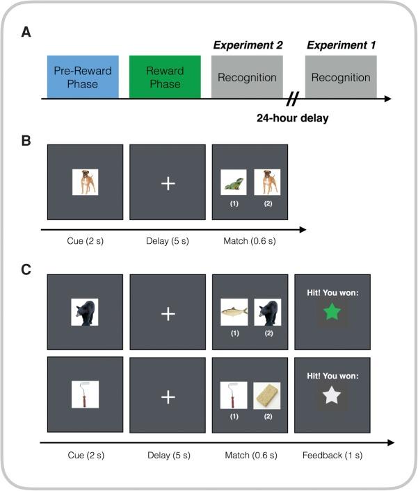 https://cdn.ncbi.nlm.nih.gov/pmc/blobs/a15a/5159660/a163f66368b0/PatilLM042978f01.jpg