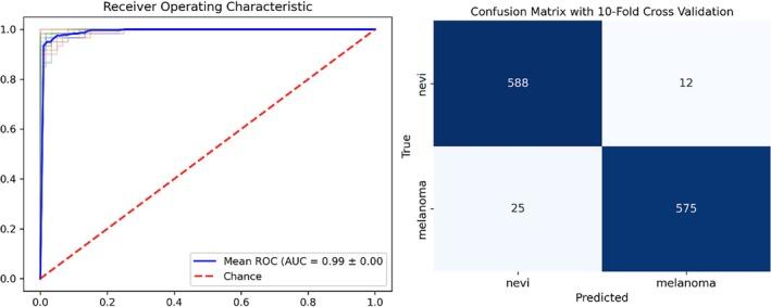 https://cdn.ncbi.nlm.nih.gov/pmc/blobs/a15c/12411026/6cfdd1183c84/JBIO-18-e70040-g002.jpg