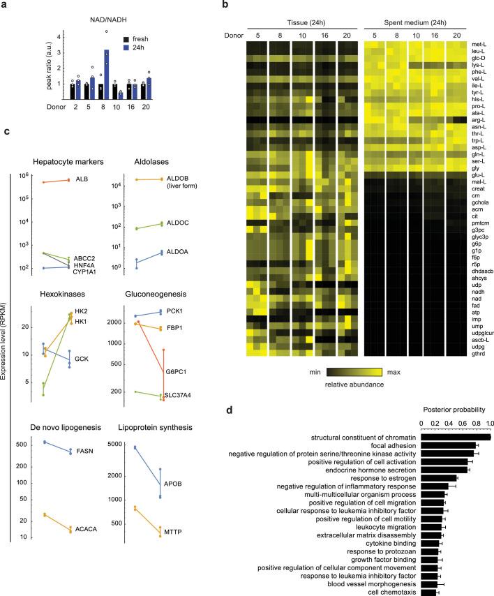 https://cdn.ncbi.nlm.nih.gov/pmc/blobs/a15d/11496108/2a28866dc39f/42255_2024_1119_Fig6_ESM.jpg