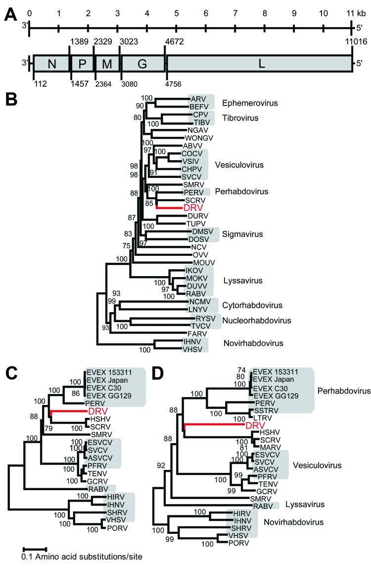 https://cdn.ncbi.nlm.nih.gov/pmc/blobs/a15e/4036773/d8c1dc48e59a/13-1880-F.jpg
