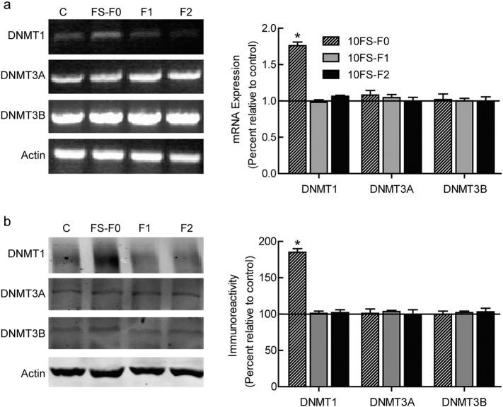 https://cdn.ncbi.nlm.nih.gov/pmc/blobs/a15f/5360568/ff2c9dbec308/gr5.jpg