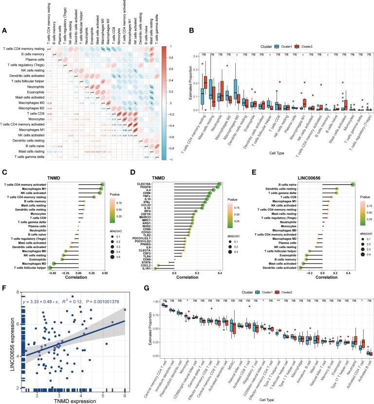 https://cdn.ncbi.nlm.nih.gov/pmc/blobs/a161/10113535/0b17624e6ffc/fimmu-14-1155478-g006.jpg