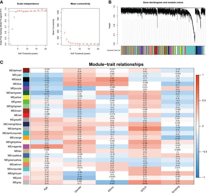 https://cdn.ncbi.nlm.nih.gov/pmc/blobs/a161/10113535/5b75e35c5ba7/fimmu-14-1155478-g004.jpg