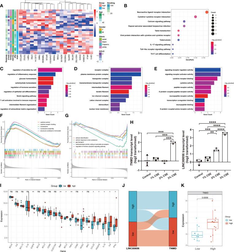 https://cdn.ncbi.nlm.nih.gov/pmc/blobs/a161/10113535/d0cc6541ce60/fimmu-14-1155478-g007.jpg