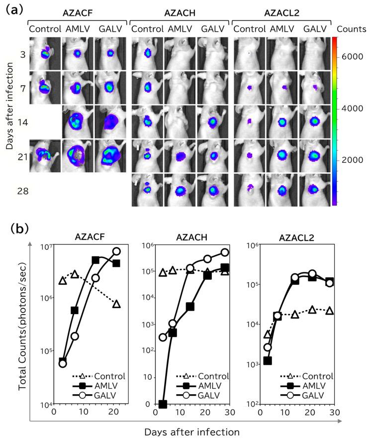 https://cdn.ncbi.nlm.nih.gov/pmc/blobs/a161/10932112/848c2eddca0f/ijms-25-02657-g003.jpg