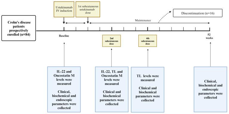 https://cdn.ncbi.nlm.nih.gov/pmc/blobs/a161/10971511/194763b88ea4/jcm-13-01539-g001.jpg