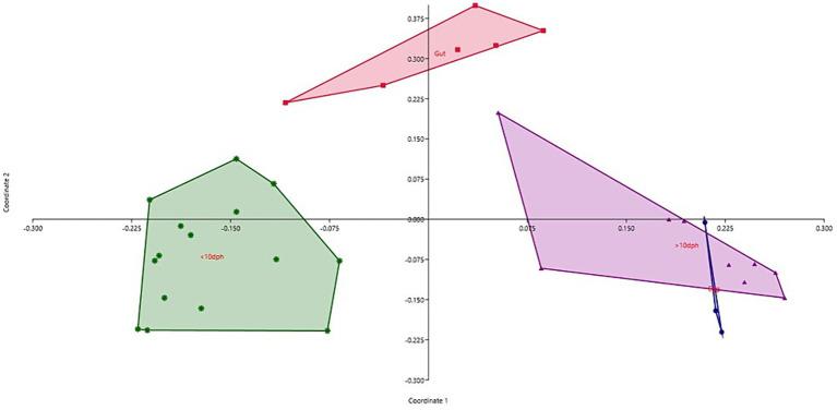 https://cdn.ncbi.nlm.nih.gov/pmc/blobs/a161/11061439/0ff33f85e9d6/fmicb-15-1356828-g006.jpg