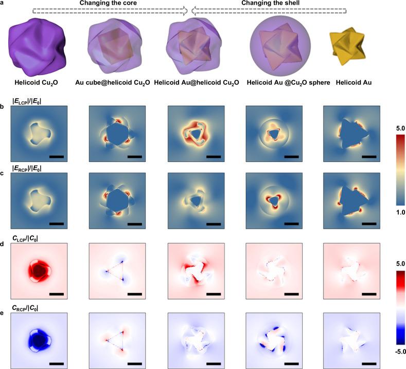 https://cdn.ncbi.nlm.nih.gov/pmc/blobs/a162/11511876/033875f061e3/41467_2024_53705_Fig5_HTML.jpg