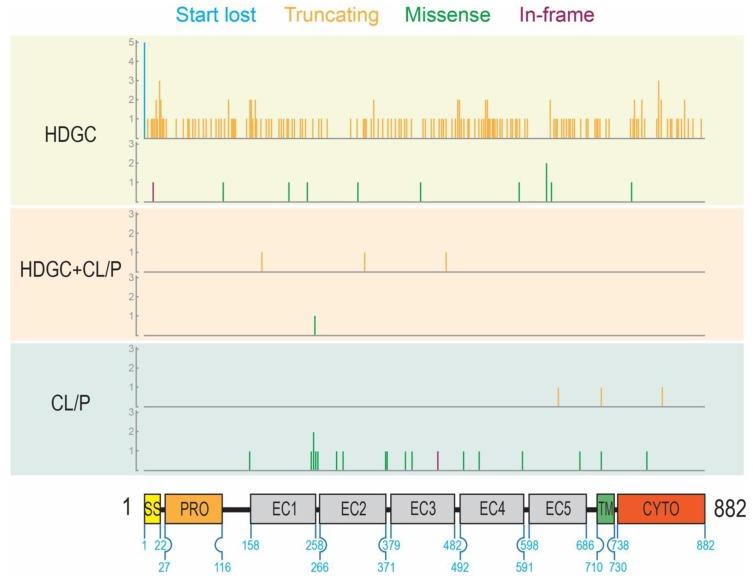 https://cdn.ncbi.nlm.nih.gov/pmc/blobs/a163/7231129/745b973cdb3b/genes-11-00391-g001.jpg