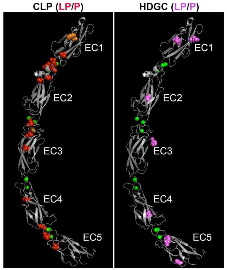 https://cdn.ncbi.nlm.nih.gov/pmc/blobs/a163/7231129/aa2ed36f481c/genes-11-00391-g003.jpg