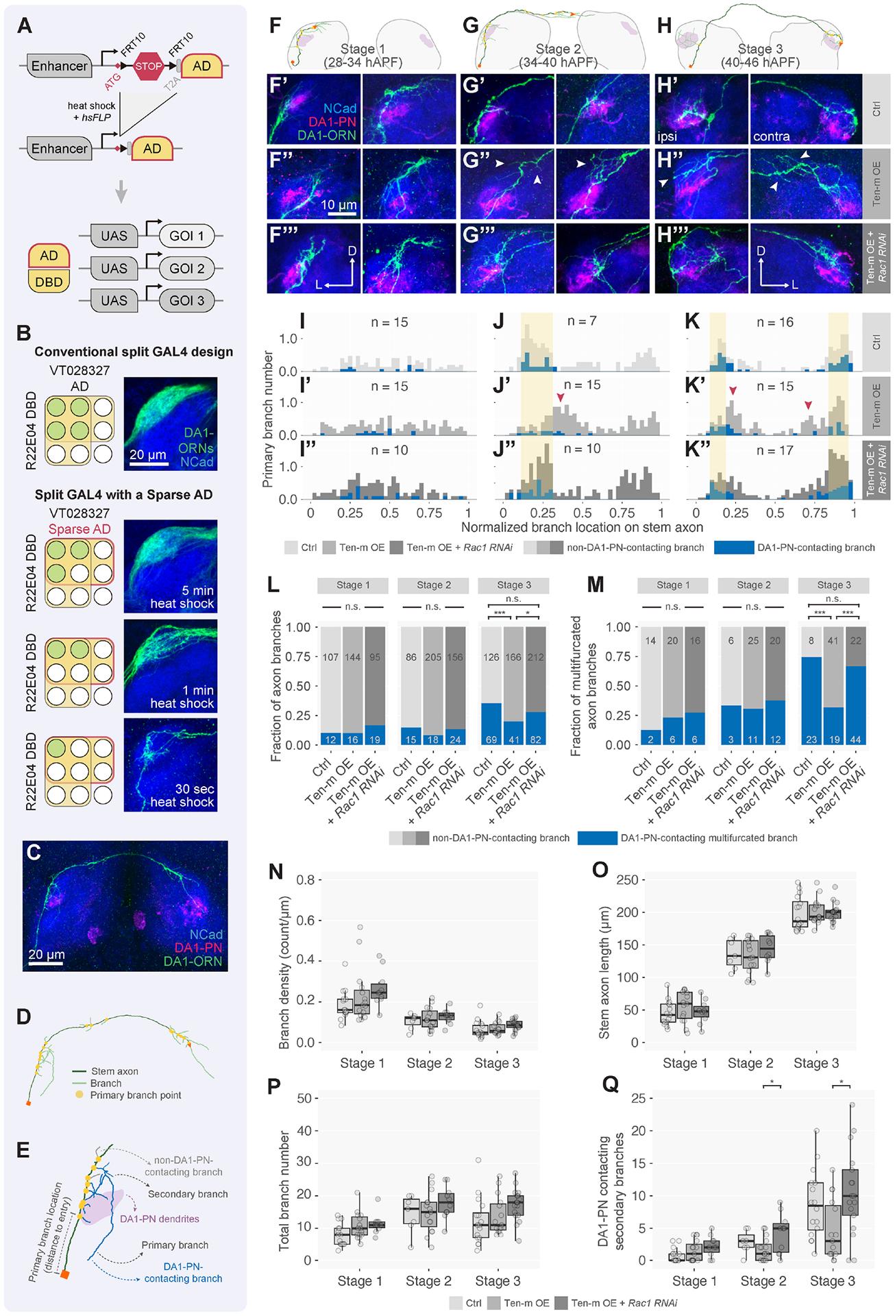 https://cdn.ncbi.nlm.nih.gov/pmc/blobs/a165/11833509/42ddc8a0e16d/nihms-2005581-f0007.jpg