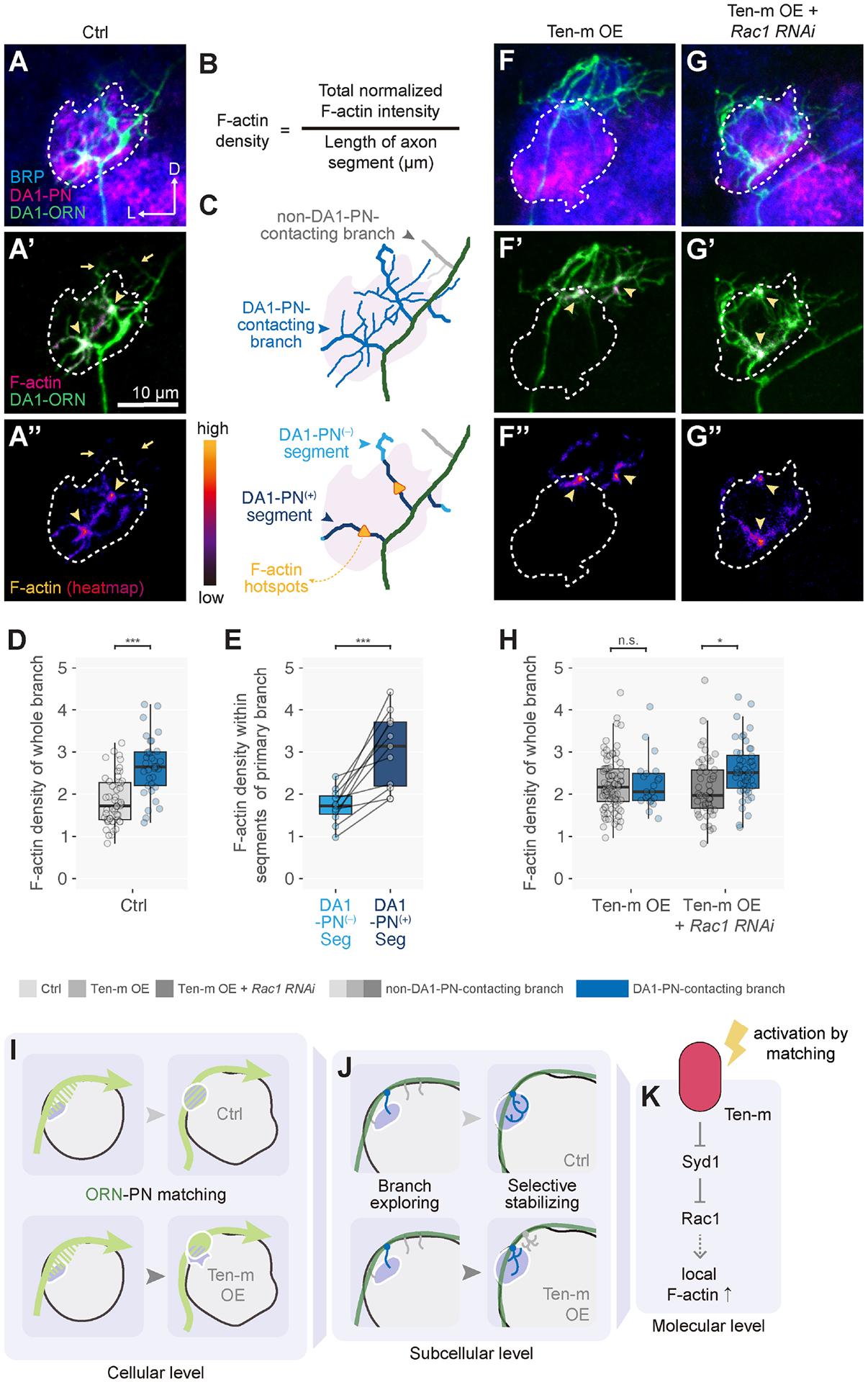 https://cdn.ncbi.nlm.nih.gov/pmc/blobs/a165/11833509/5f80a020598b/nihms-2005581-f0008.jpg