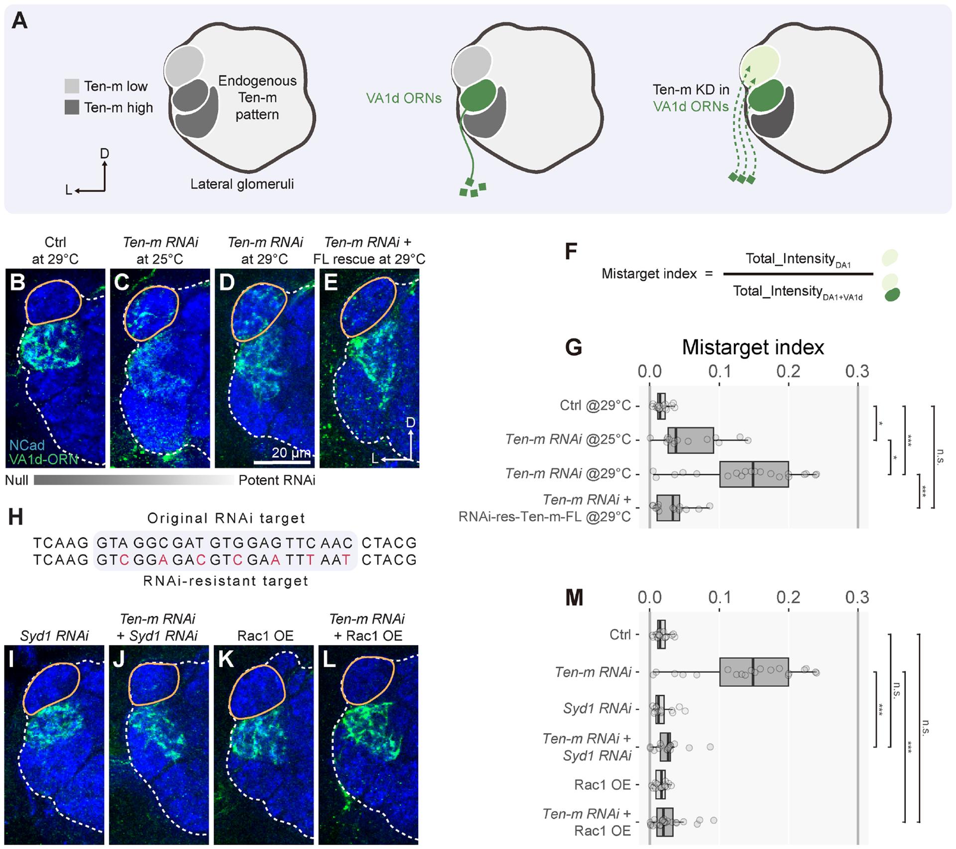 https://cdn.ncbi.nlm.nih.gov/pmc/blobs/a165/11833509/e604ba1b9ab1/nihms-2005581-f0006.jpg