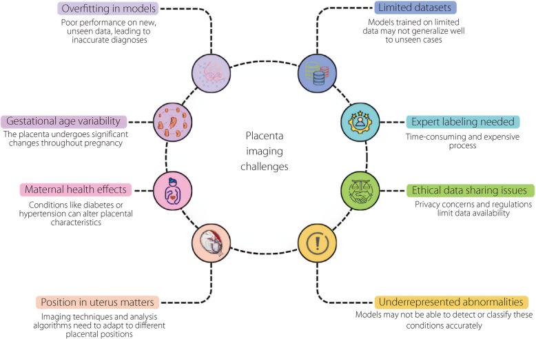 https://cdn.ncbi.nlm.nih.gov/pmc/blobs/a165/12263505/bad4350a75c3/42492_2025_197_Fig3_HTML.jpg