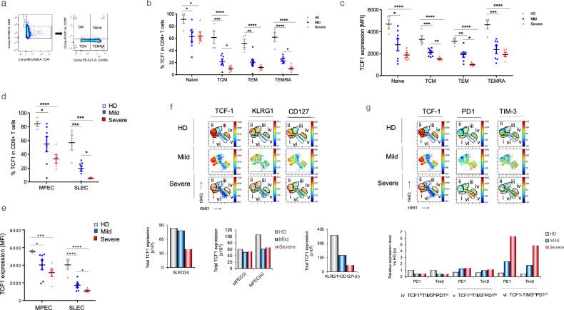 https://cdn.ncbi.nlm.nih.gov/pmc/blobs/a166/11068881/017abcfe90ac/42003_2024_5922_Fig3_HTML.jpg