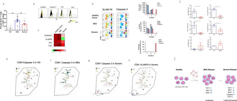 https://cdn.ncbi.nlm.nih.gov/pmc/blobs/a166/11068881/aee12ed40aa3/42003_2024_5922_Fig6_HTML.jpg