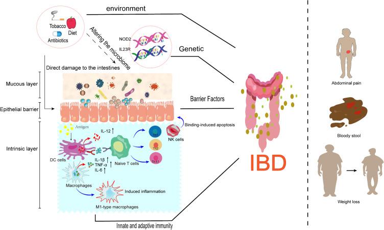 https://cdn.ncbi.nlm.nih.gov/pmc/blobs/a167/11128225/8a3d16e1f7a1/JIR-17-3307-g0001.jpg